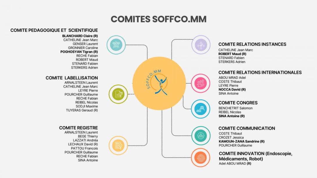 Comit&eacute;s SOFFCO.MM